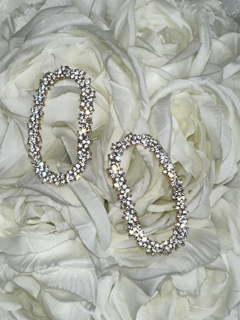 Sparkle Anne Crystal Earrings